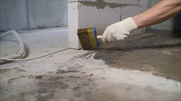 Top rated local Crawl Space Encapsulation specialists in Shirley, IN